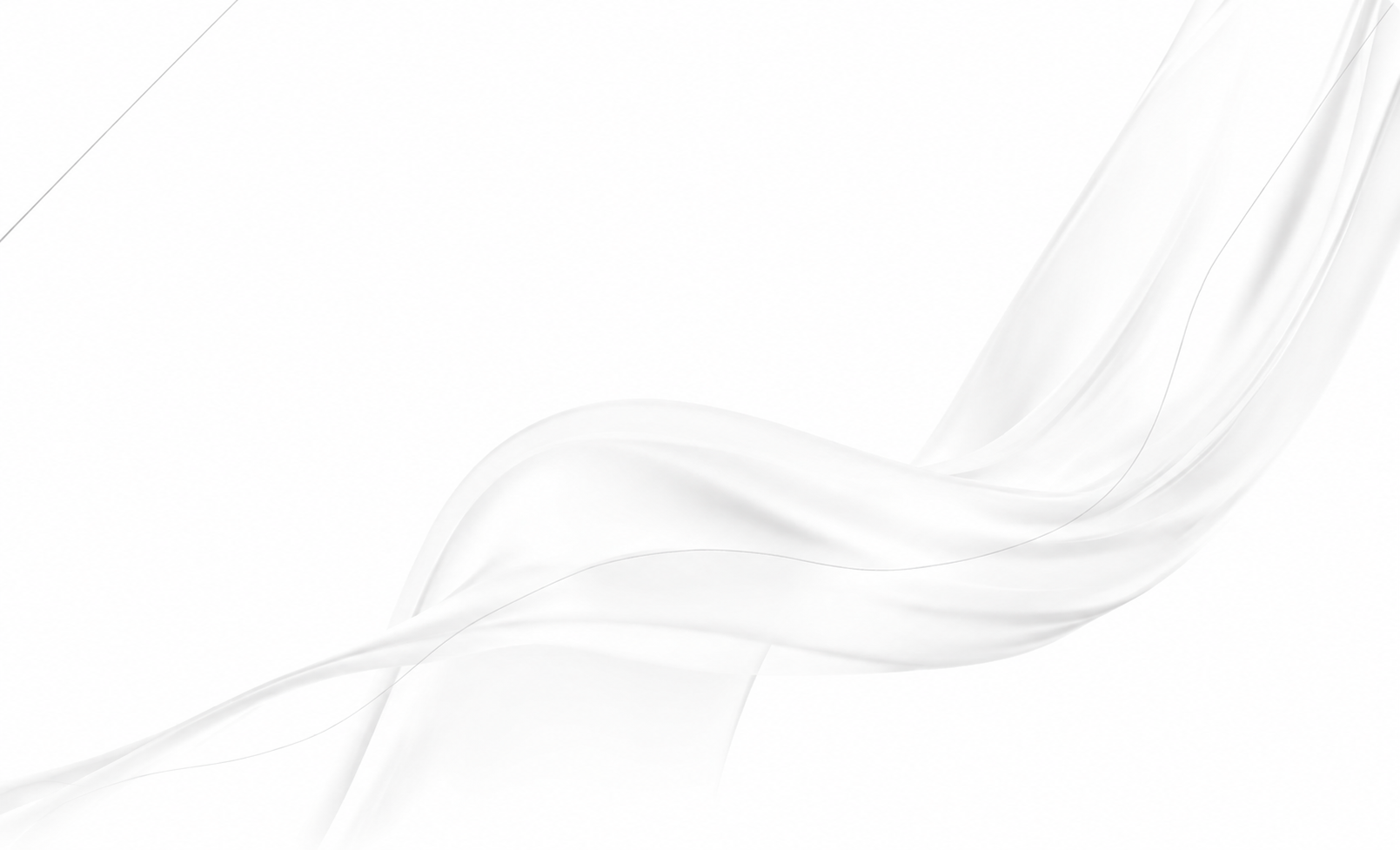 Bigmonks Global Digital & Logistics Solutions